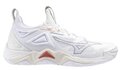 Mizuno Wave Momentum 3