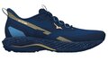 Mizuno Wave Rider TT2