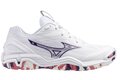 Mizuno Wave Stealth 6