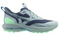 Mizuno Wave Rider TT2